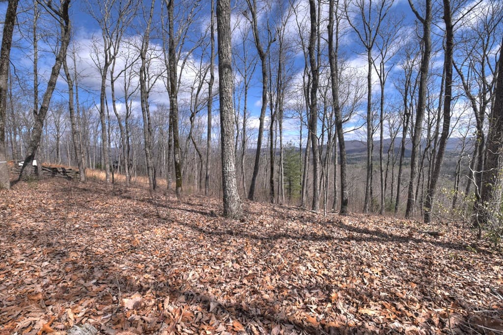 LT 14R Tanager Trail, Ellijay GA 30536 - Photo