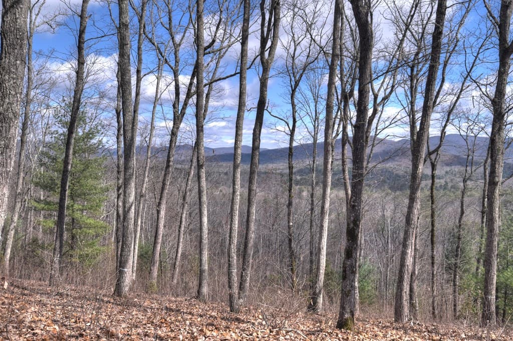 LT 14R Tanager Trail, Ellijay GA 30536 - Photo