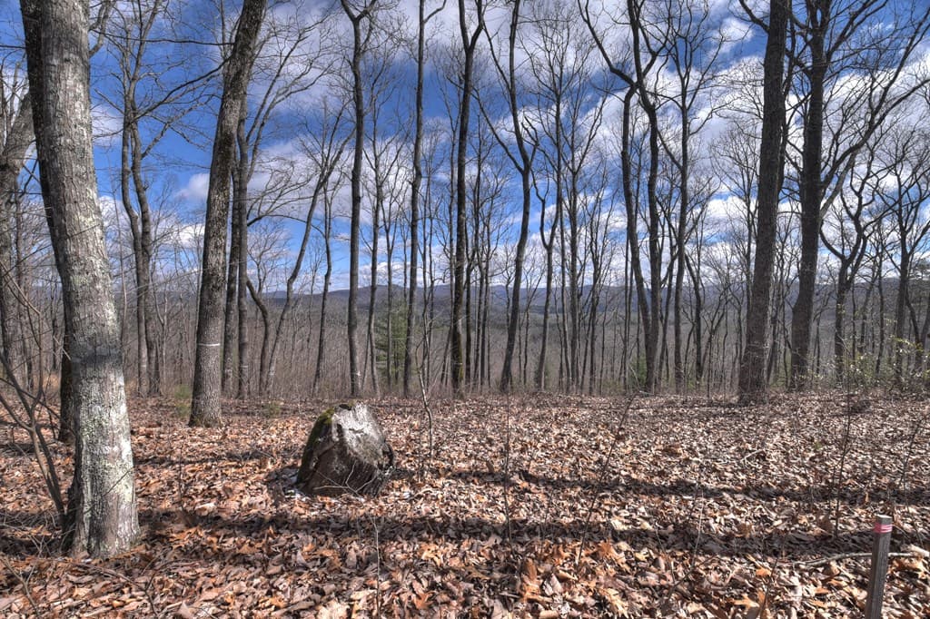 LT 14R Tanager Trail, Ellijay GA 30536 - Photo