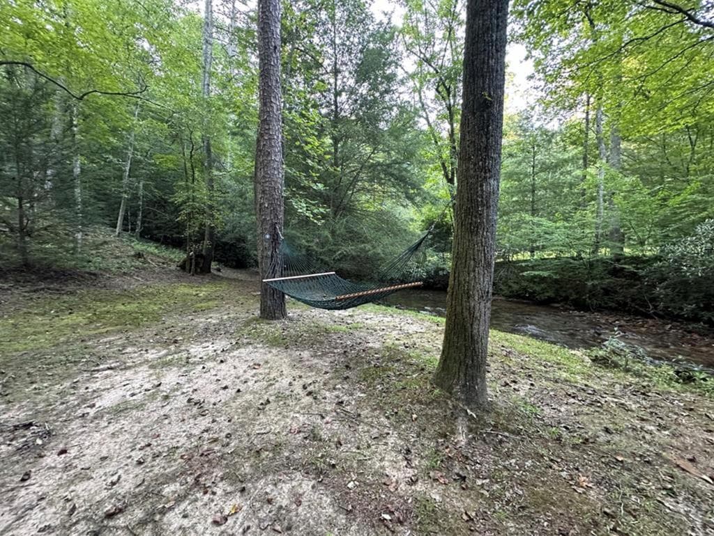LT 14R Tanager Trail, Ellijay GA 30536 - Photo