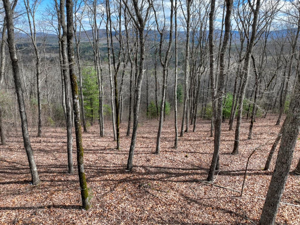 LT 14R Tanager Trail, Ellijay GA 30536 - Photo