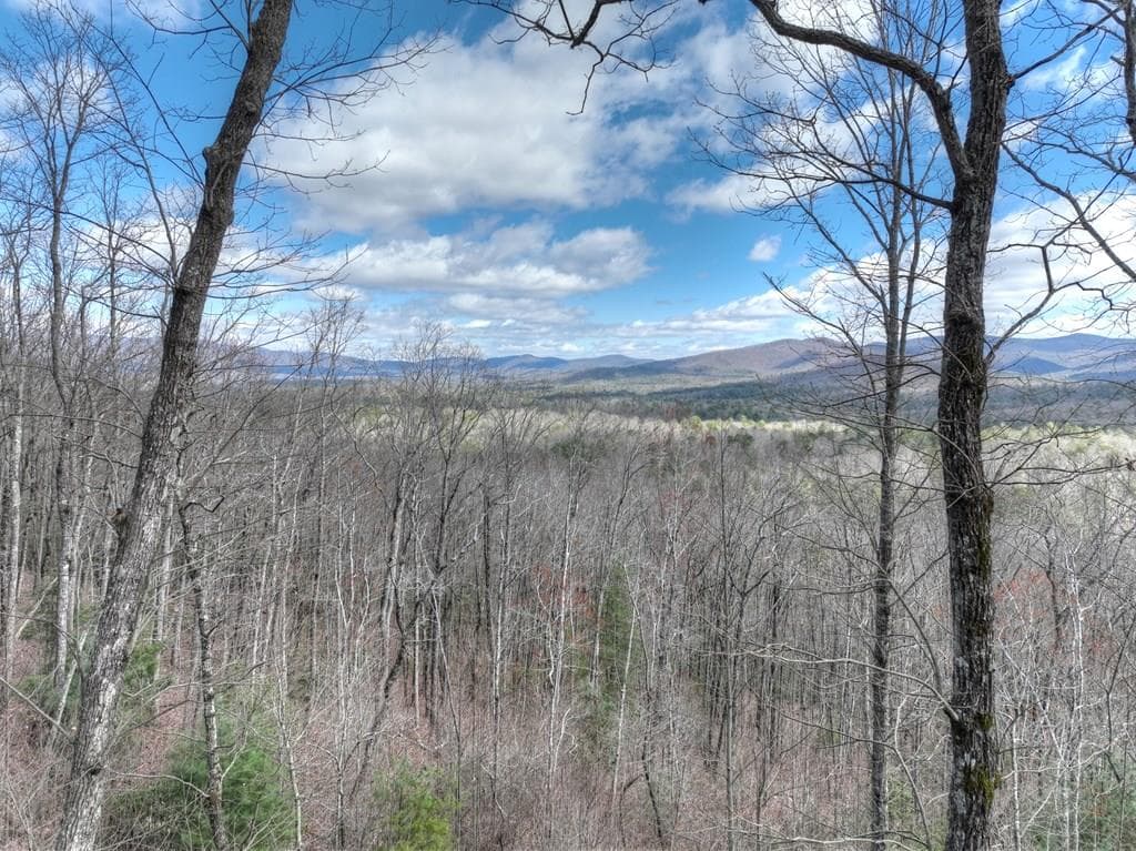 LT 14R Tanager Trail, Ellijay GA 30536 - Primary photo