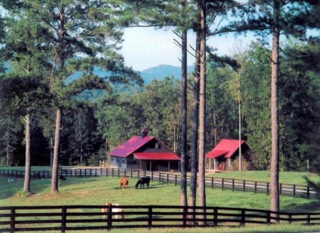 LT 14R Tanager Trail, Ellijay GA 30536 - Photo