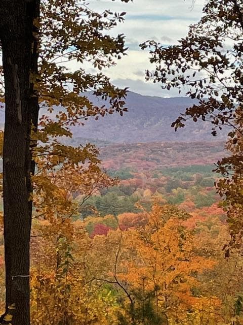 LT 14R Tanager Trail, Ellijay GA 30536 - Photo