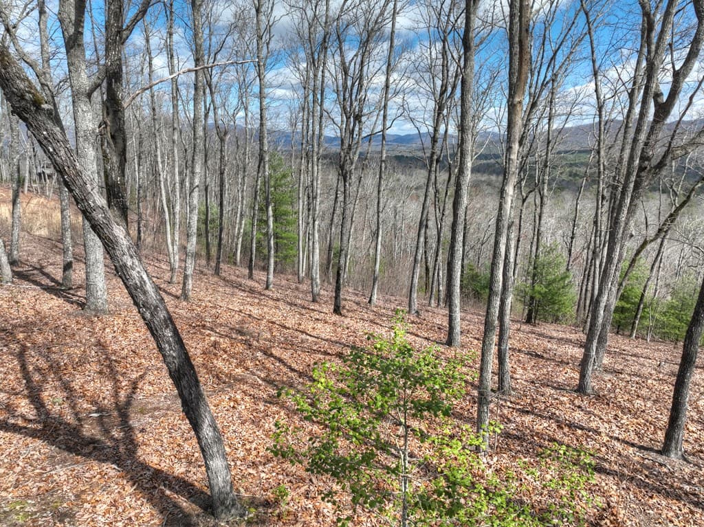 LT 14R Tanager Trail, Ellijay GA 30536 - Photo