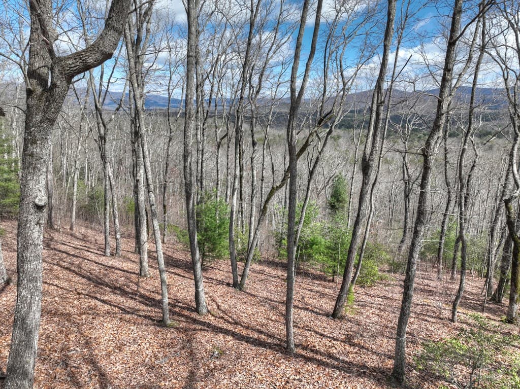 LT 14R Tanager Trail, Ellijay GA 30536 - Photo