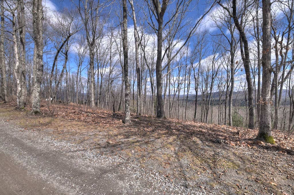 LT 14R Tanager Trail, Ellijay GA 30536 - Photo