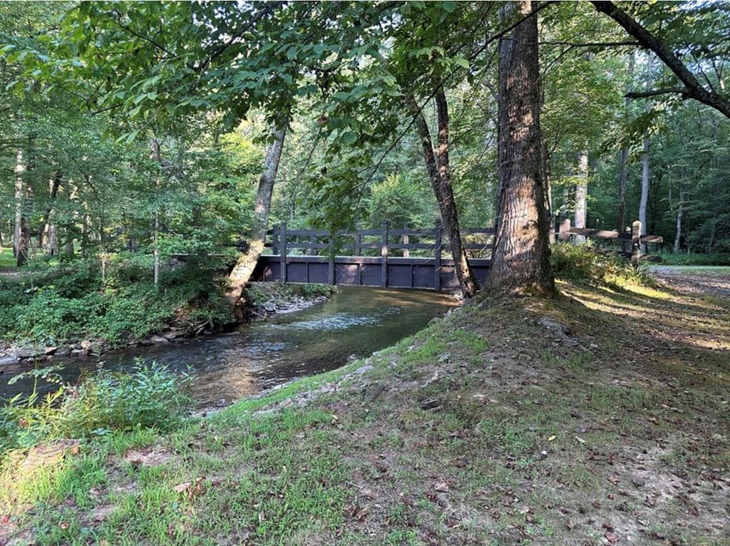 LT 14R Tanager Trail, Ellijay GA 30536 - Photo