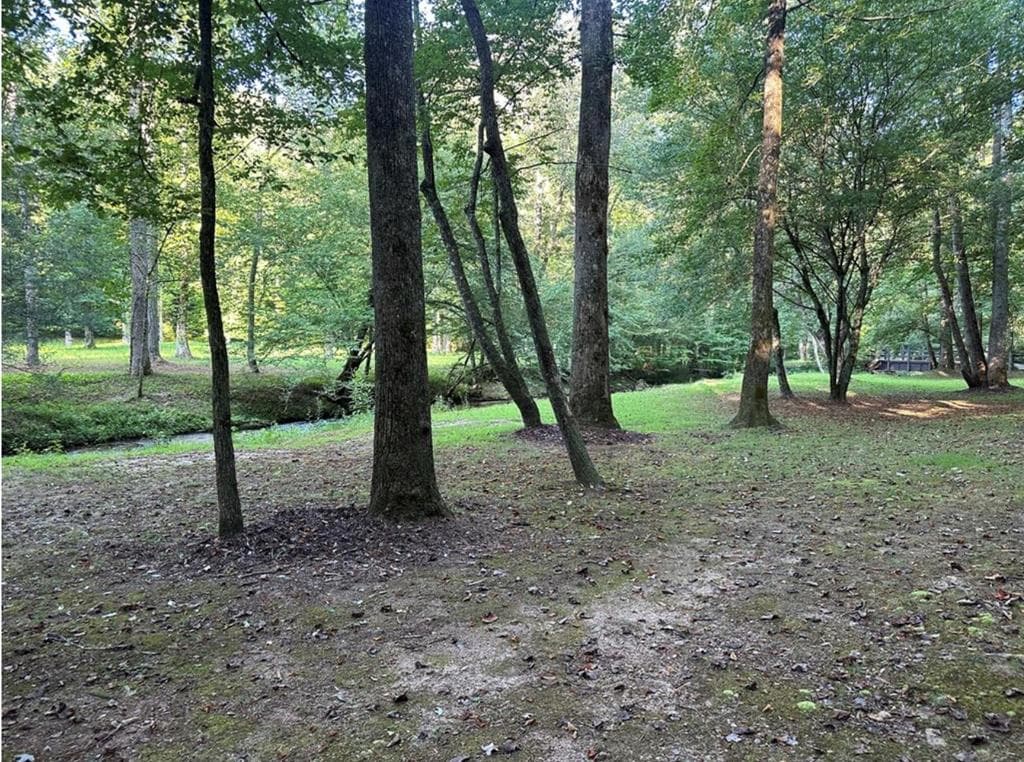 LT 14R Tanager Trail, Ellijay GA 30536 - Photo
