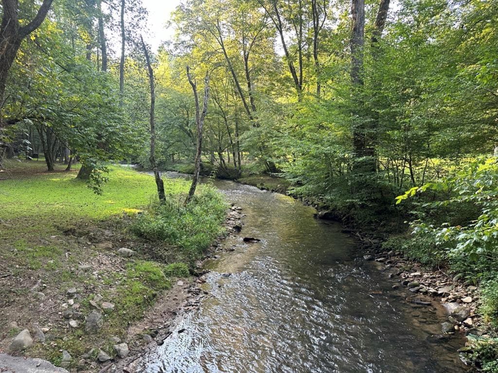 LT 14R Tanager Trail, Ellijay GA 30536 - Photo
