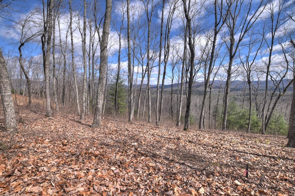 LT 14R Tanager Trail, Ellijay GA 30536 - Photo