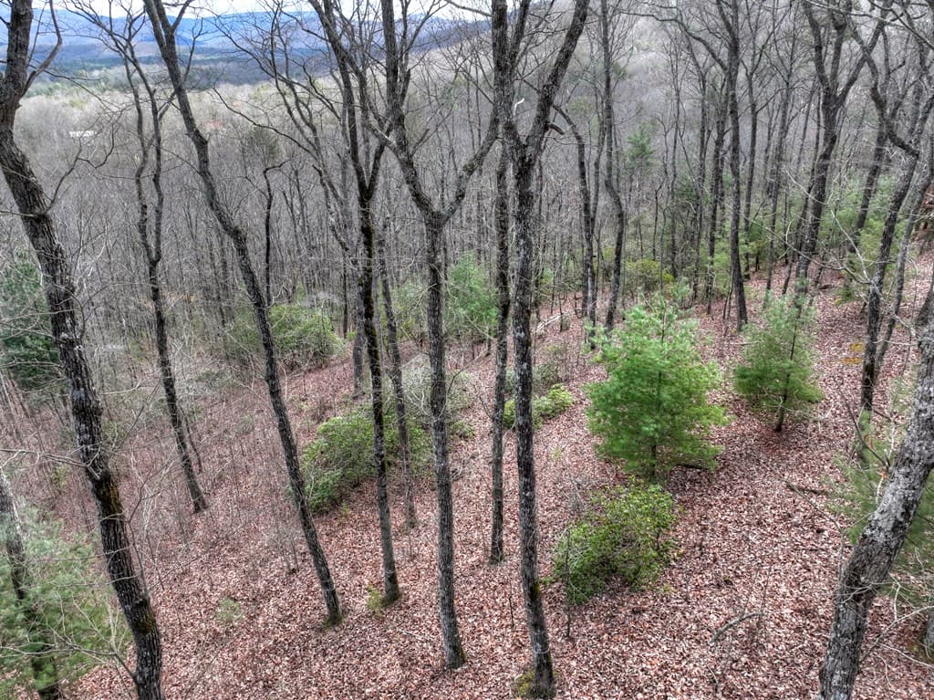 LT 14R Tanager Trail, Ellijay GA 30536 - Photo