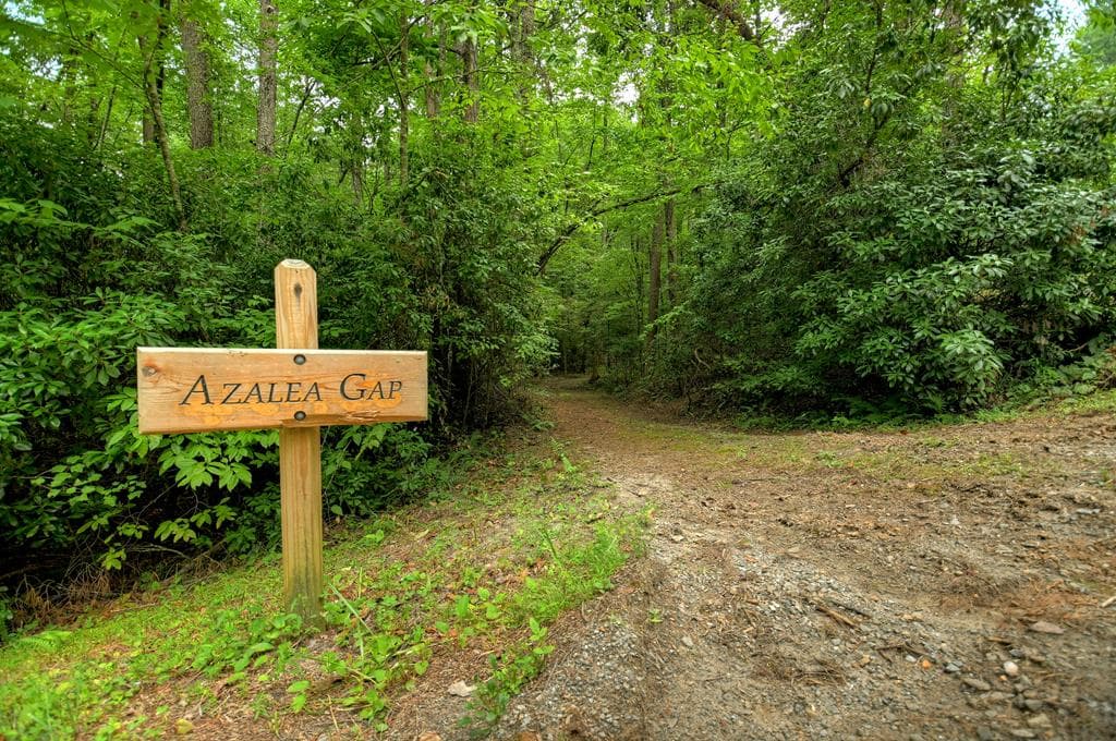 LT 14R Tanager Trail, Ellijay GA 30536 - Photo