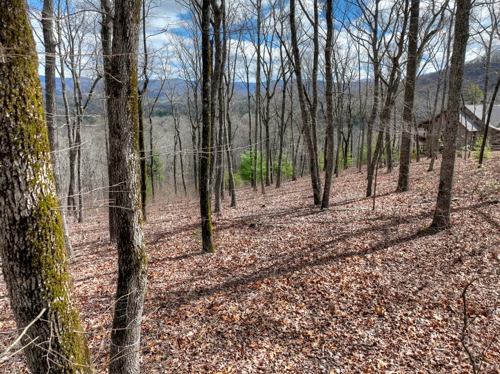 LT 14R Tanager Trail, Ellijay GA 30536 - Photo