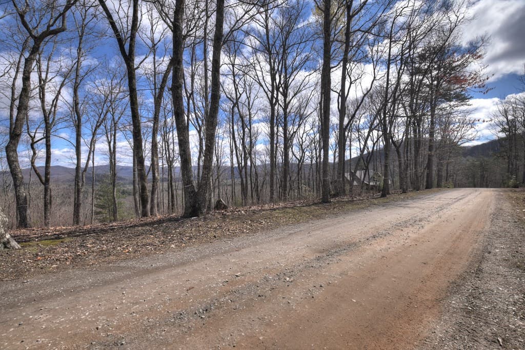 LT 14R Tanager Trail, Ellijay GA 30536 - Photo