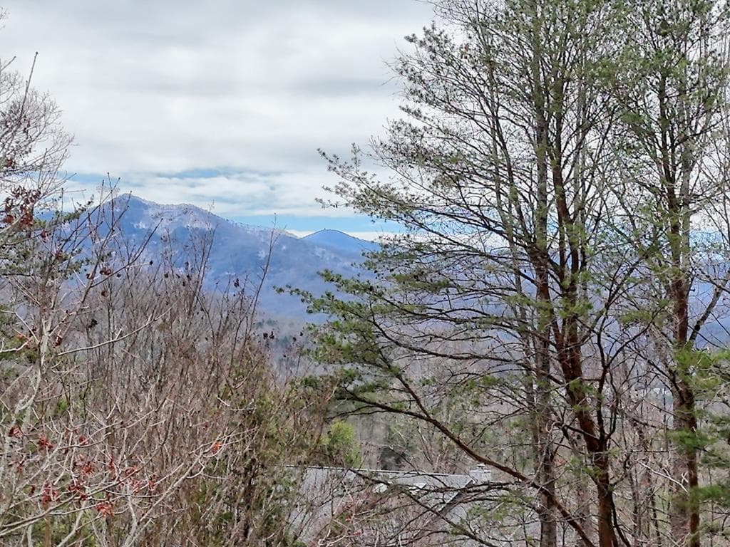 962 Ashley Lane, Young Harris GA 30582 - Photo