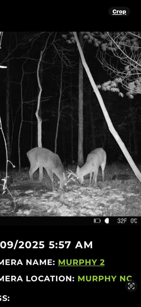 00 Culberson Ranch, Murphy NC 28906 - Photo