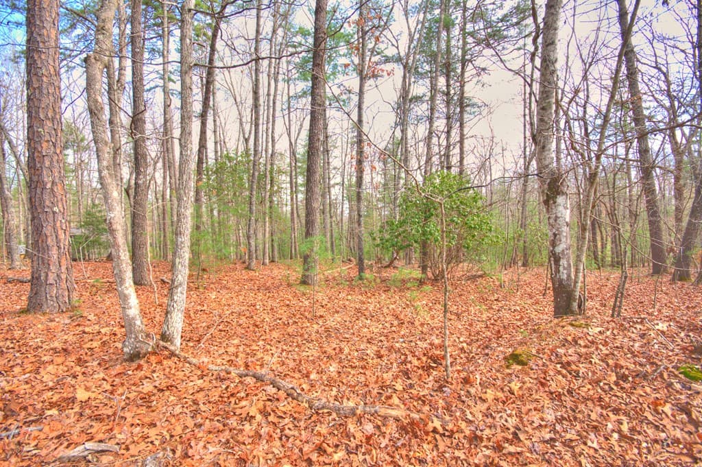 lot 12 Deer Forest, Morganton GA 30560 - Photo