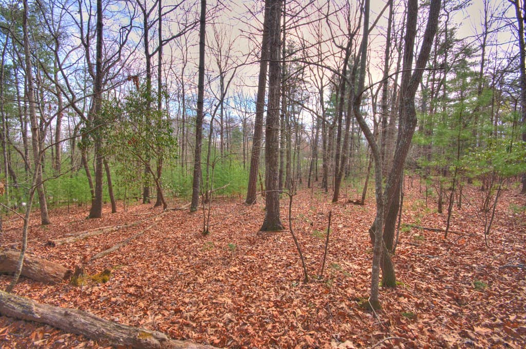 lot 12 Deer Forest, Morganton GA 30560 - Photo