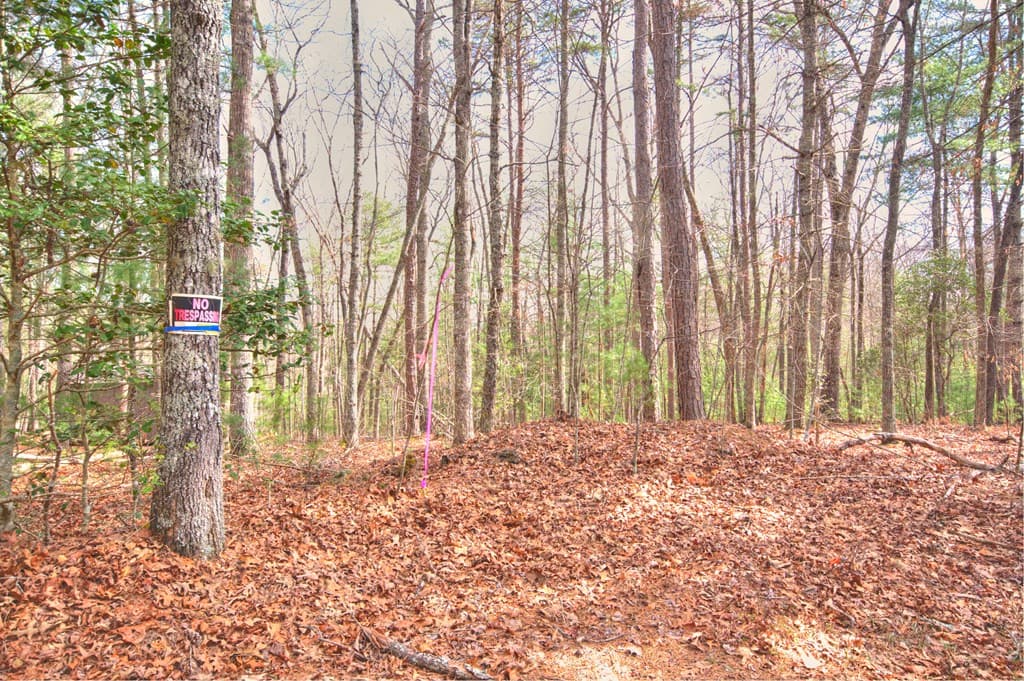 lot 12 Deer Forest, Morganton GA 30560 - Photo