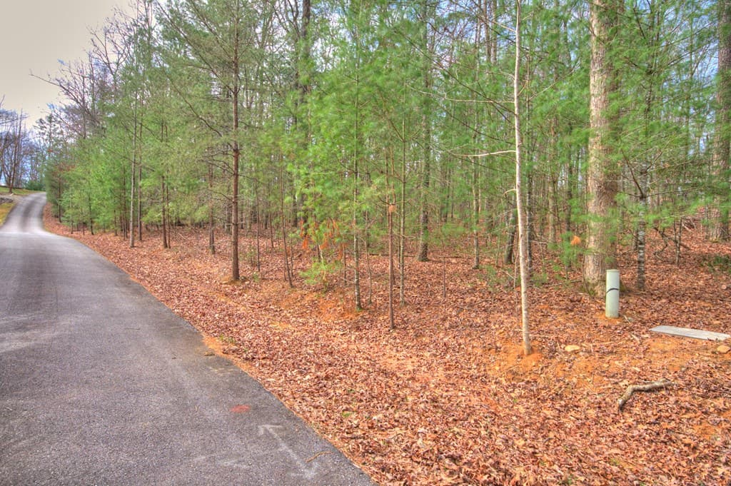 lot 12 Deer Forest, Morganton GA 30560 - Photo