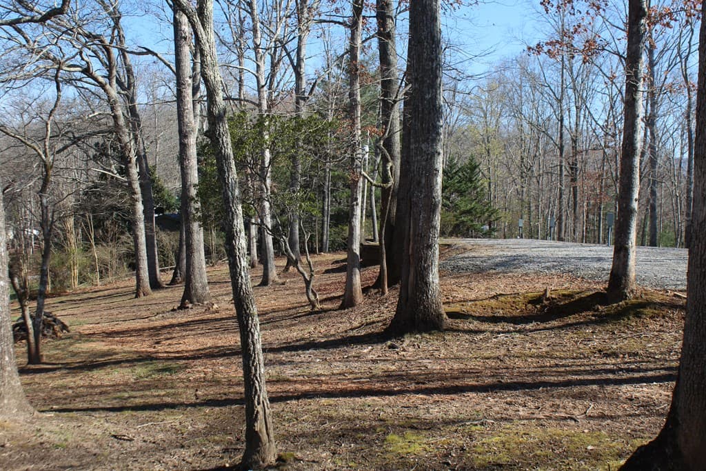 1017 Laurel Branch Road, Hayesville NC 28904 - Photo