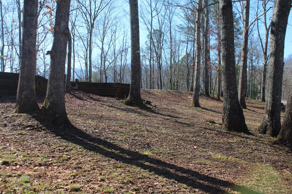 1017 Laurel Branch Road, Hayesville NC 28904 - Photo