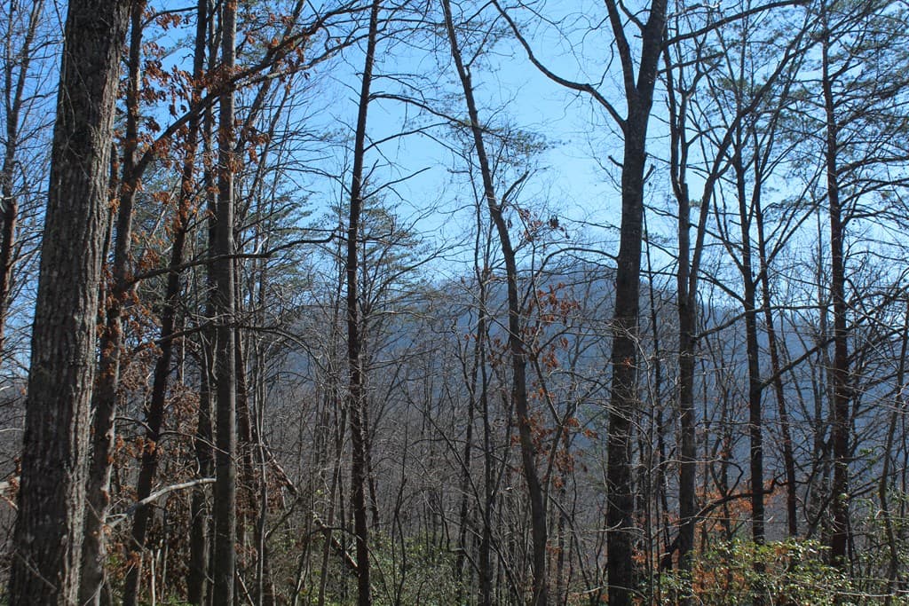 1017 Laurel Branch Road, Hayesville NC 28904 - Photo