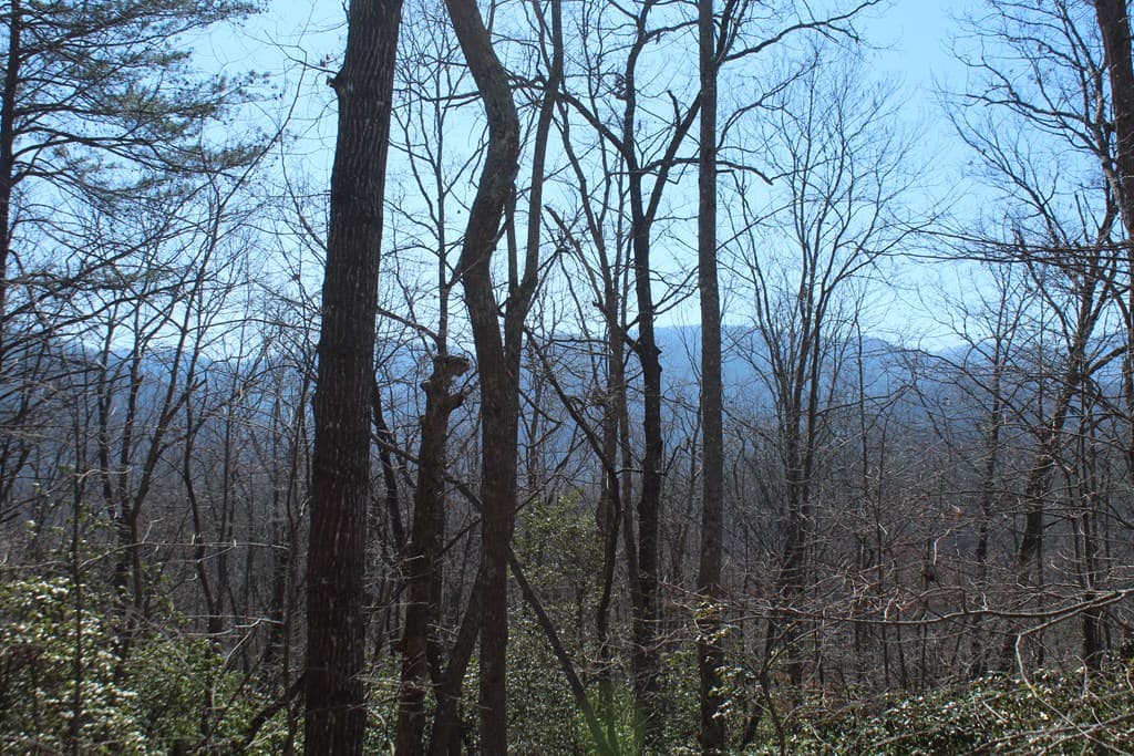 1017 Laurel Branch Road, Hayesville NC 28904 - Photo
