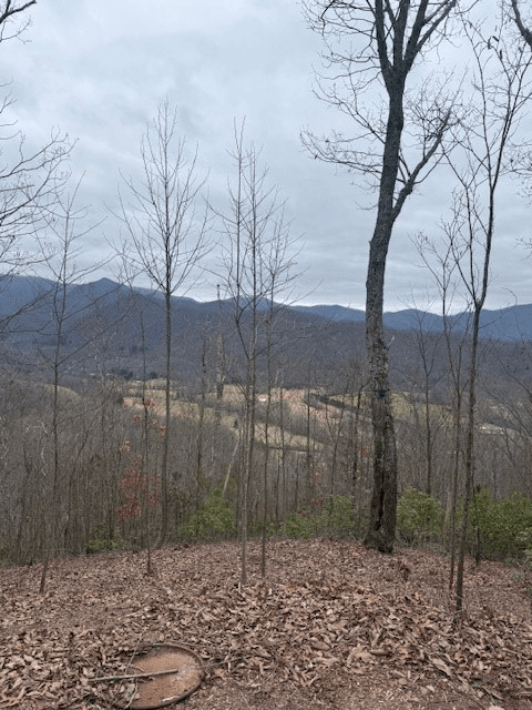 00 Ethan Ridge, Hayesville NC 28909 - Photo
