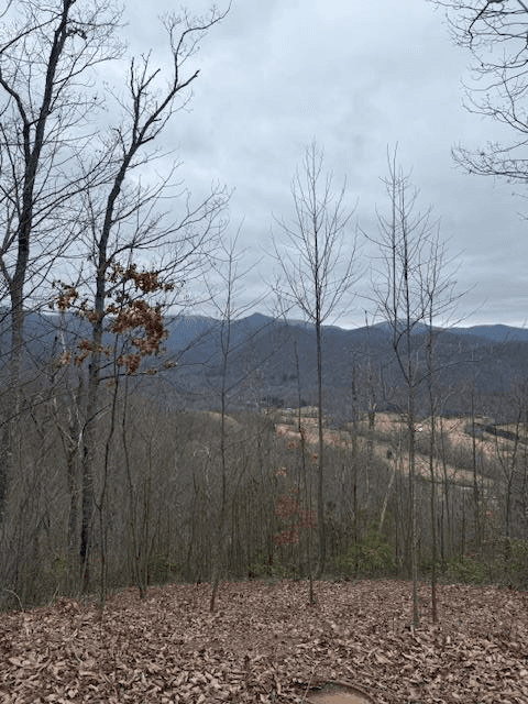 00 Ethan Ridge, Hayesville NC 28909 - Primary photo