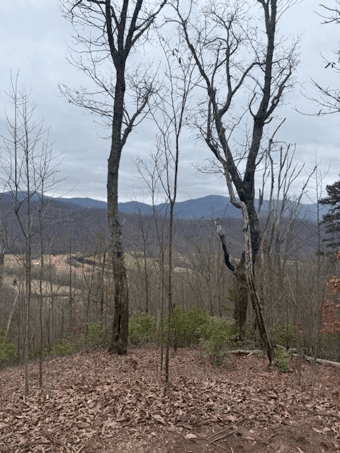 00 Ethan Ridge, Hayesville NC 28909 - Photo