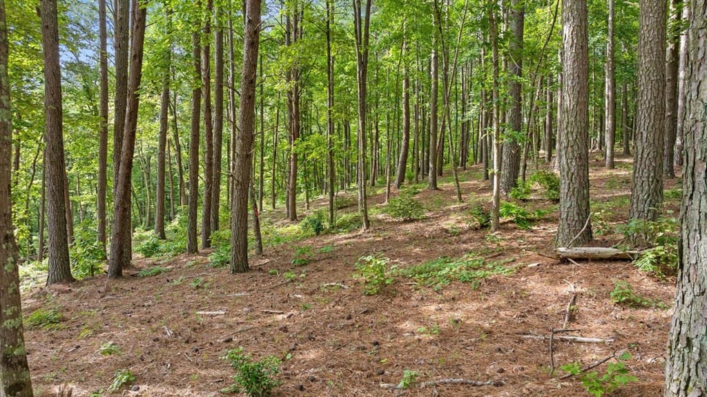 Lot 452 Woodward Way, Talking Rock GA 30175 - Photo