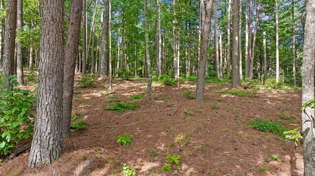 Lot 452 Woodward Way, Talking Rock GA 30175 - Photo