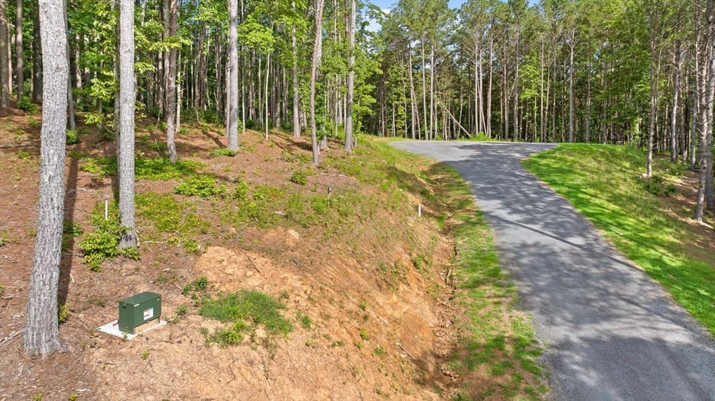 Lot 452 Woodward Way, Talking Rock GA 30175 - Photo