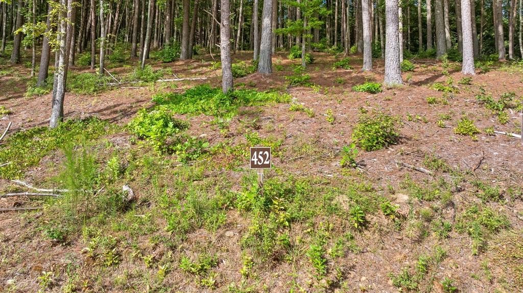 Lot 452 Woodward Way, Talking Rock GA 30175 - Primary photo
