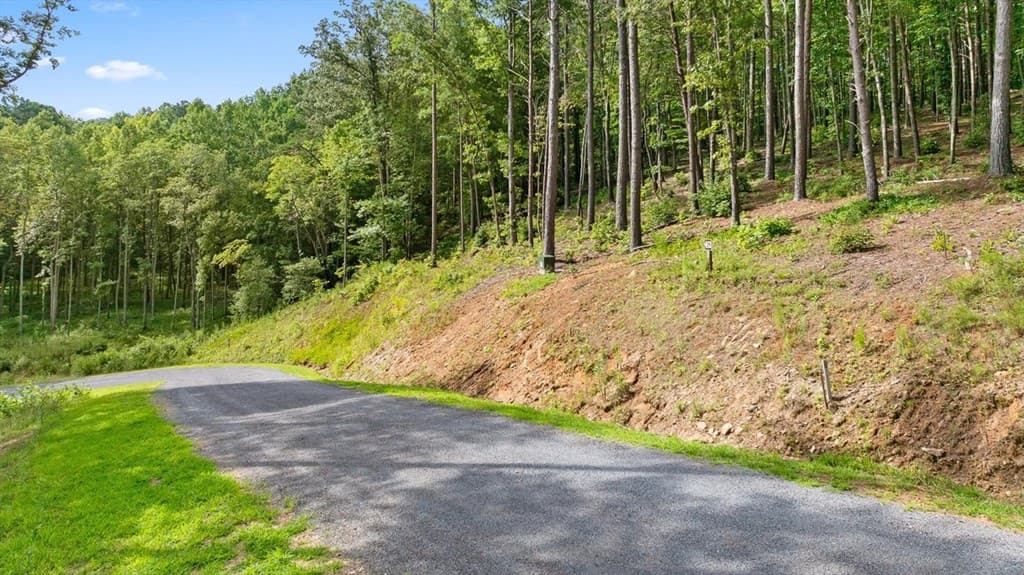 Lot 452 Woodward Way, Talking Rock GA 30175 - Photo