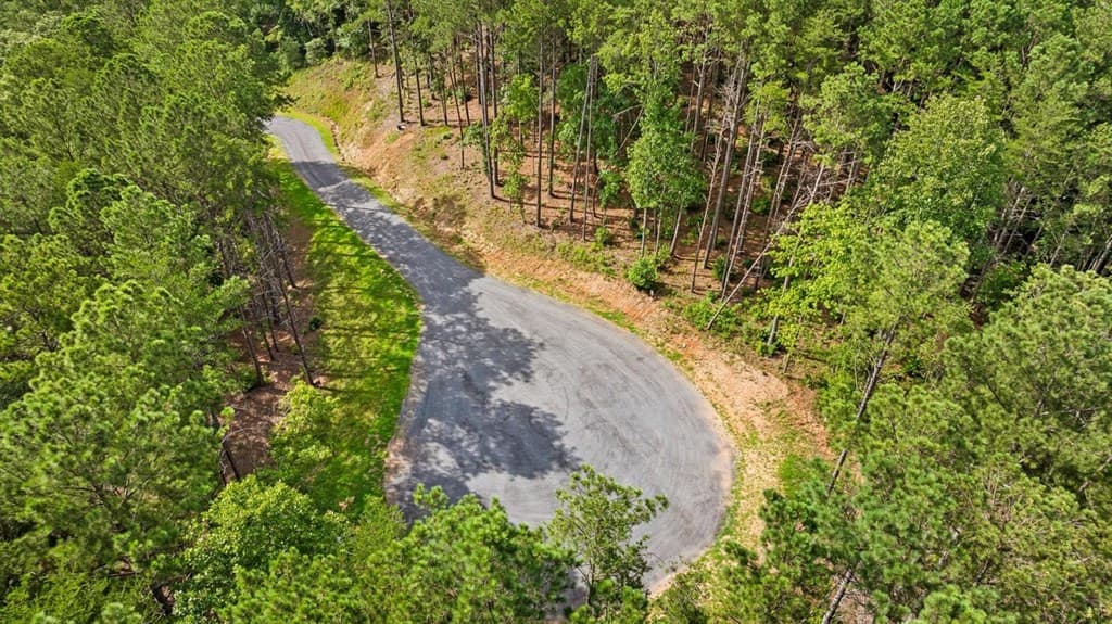 Lot 452 Woodward Way, Talking Rock GA 30175 - Photo