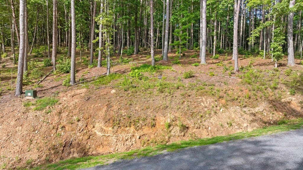 Lot 452 Woodward Way, Talking Rock GA 30175 - Photo