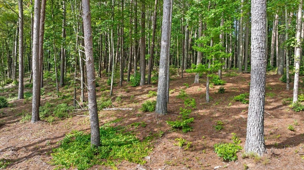 Lot 452 Woodward Way, Talking Rock GA 30175 - Photo