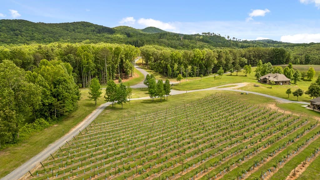 Lot 452 Woodward Way, Talking Rock GA 30175 - Photo