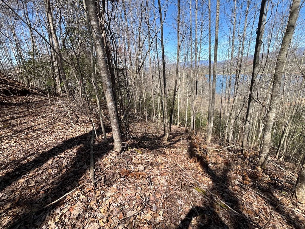 Tract 1 Brer Fox Ridge, Hiawassee GA 30546 - Photo