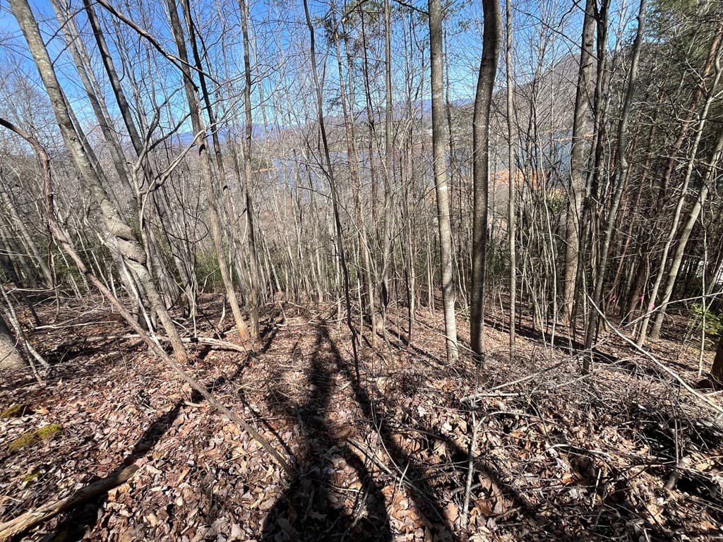 Tract 1 Brer Fox Ridge, Hiawassee GA 30546 - Photo