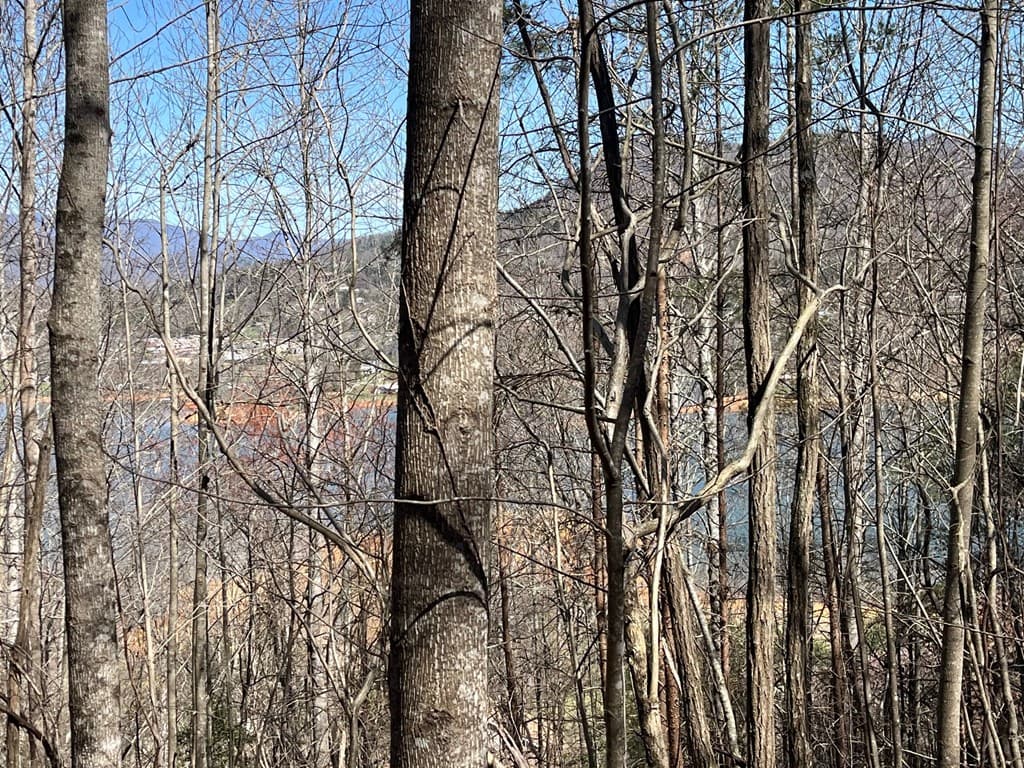Tract 1 Brer Fox Ridge, Hiawassee GA 30546 - Photo