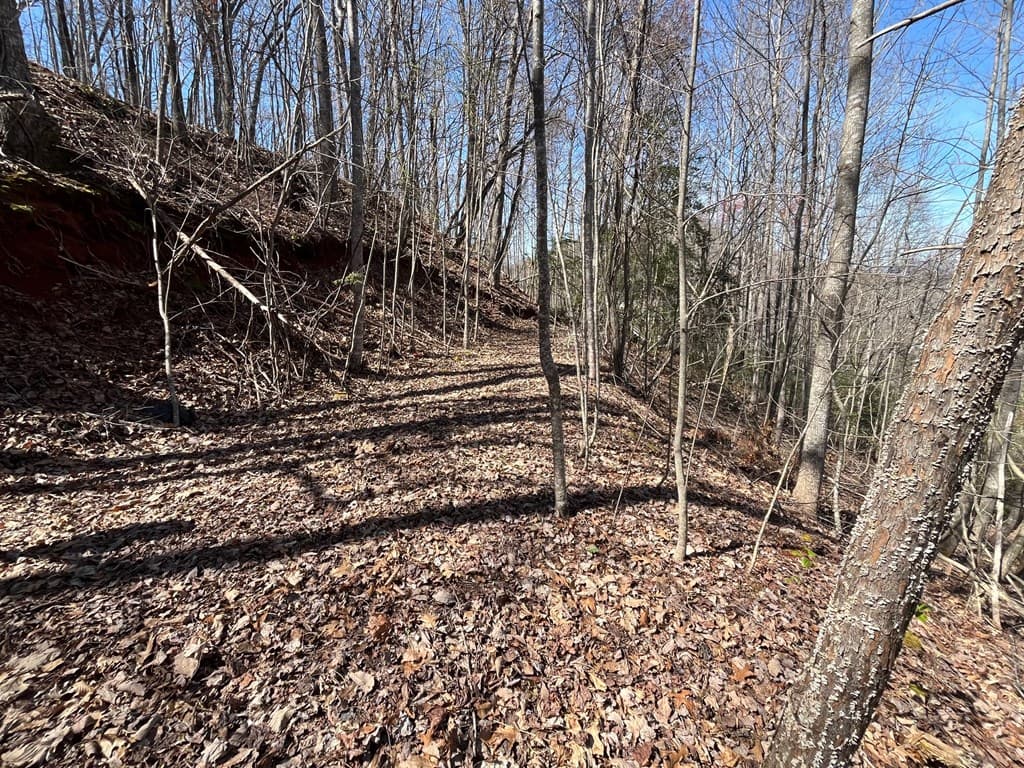 Tract 1 Brer Fox Ridge, Hiawassee GA 30546 - Photo