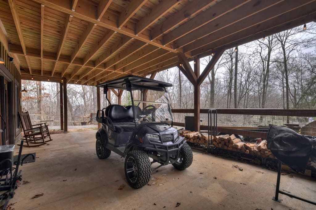389 Toccoa Preserve Lane, Blue Ridge GA 30513 - Photo