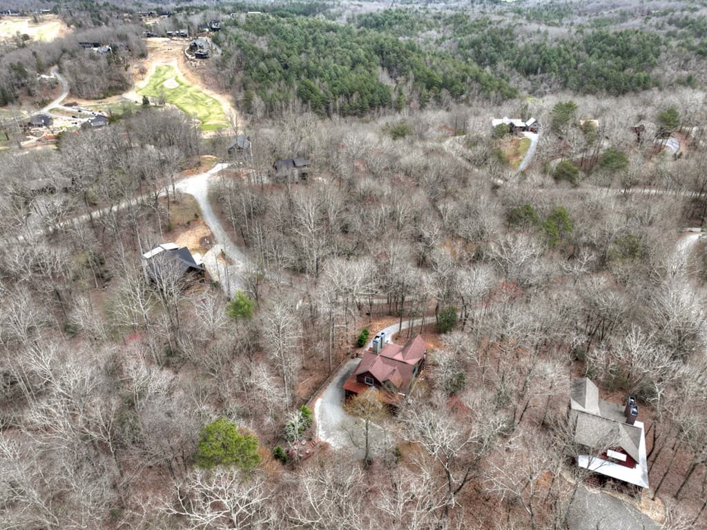 389 Toccoa Preserve Lane, Blue Ridge GA 30513 - Photo