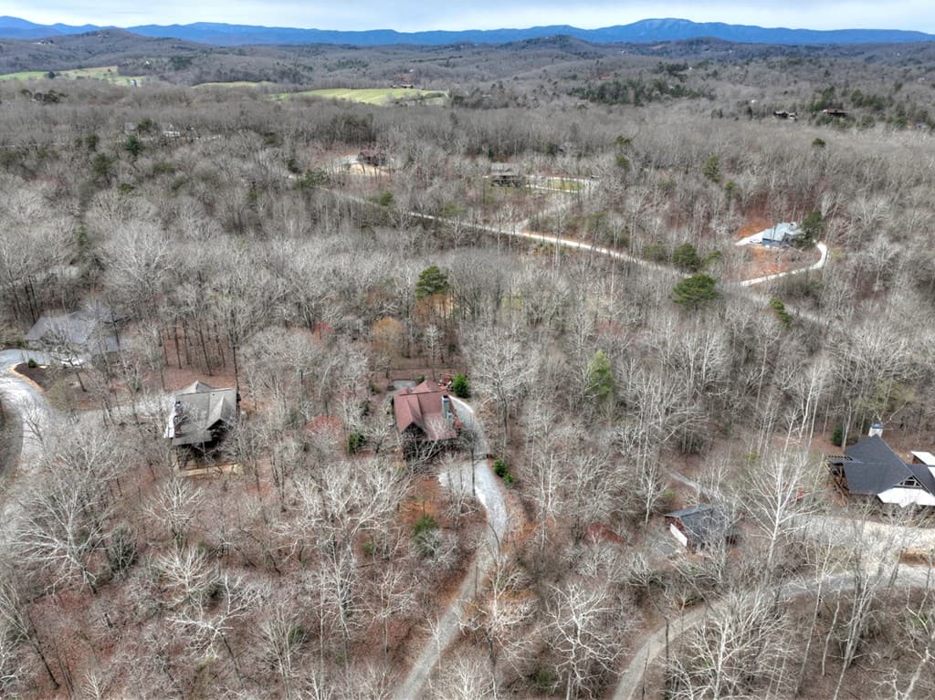 389 Toccoa Preserve Lane, Blue Ridge GA 30513 - Photo