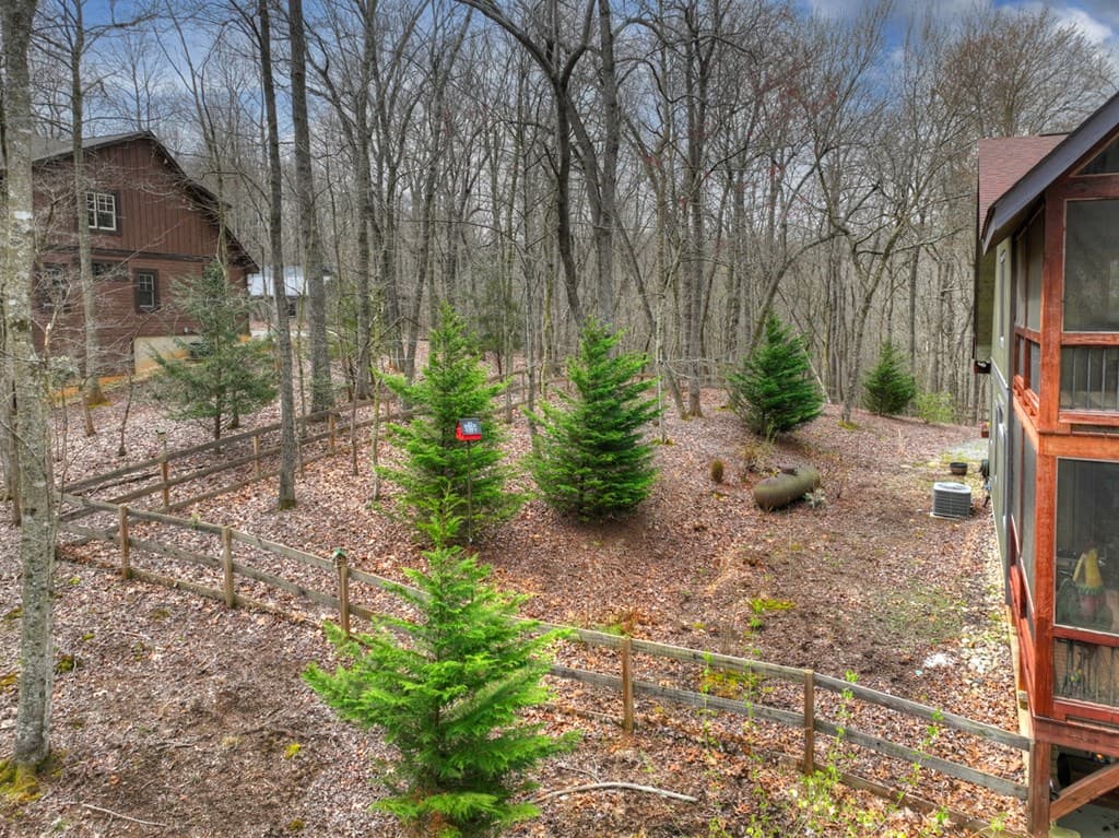 389 Toccoa Preserve Lane, Blue Ridge GA 30513 - Photo