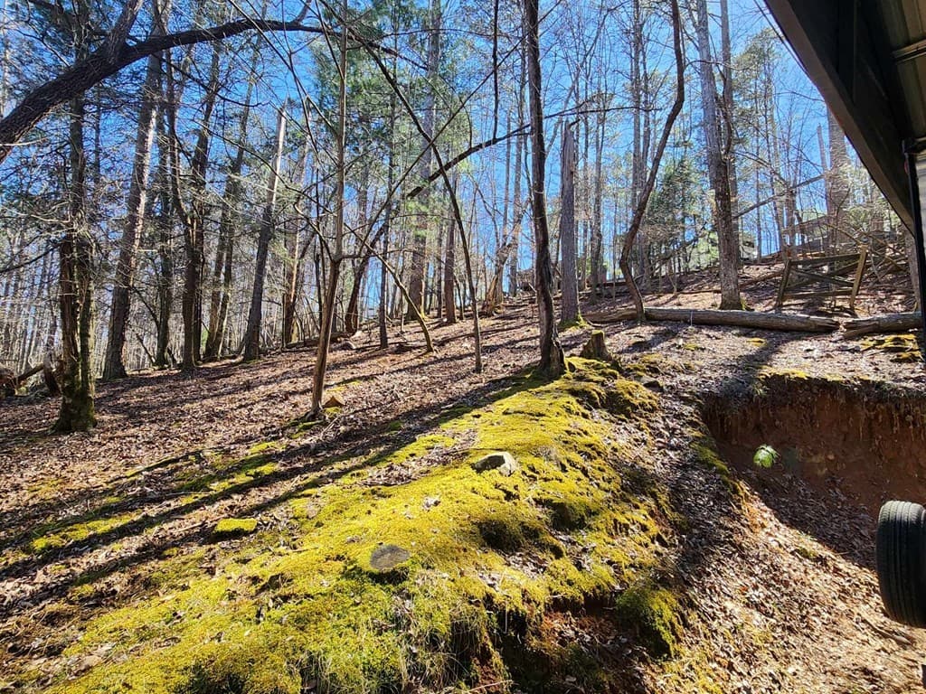 263 17th Street, Ellijay GA 30540 - Photo
